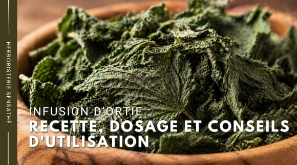 Infusion d'ortie  recette, dosage et conseils d'utilisation - Herboristerie Sensathé
